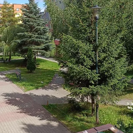 Kawalerka Gryf Apartment *