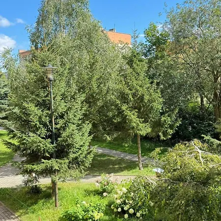 Kawalerka Gryf Apartment