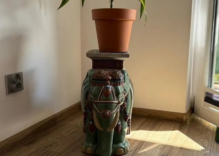 Kawalerka Gryf Szczecinek